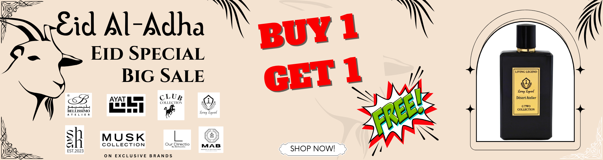 SHOP NOW (15)